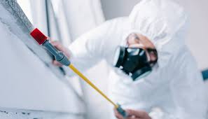 Best Pest Prevention Services  in Mendota, IL